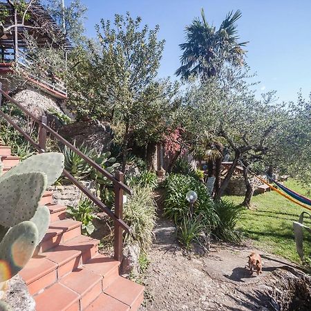 La Fattoria Di Nonna Eugenia Bed & Breakfast Lerici Luaran gambar