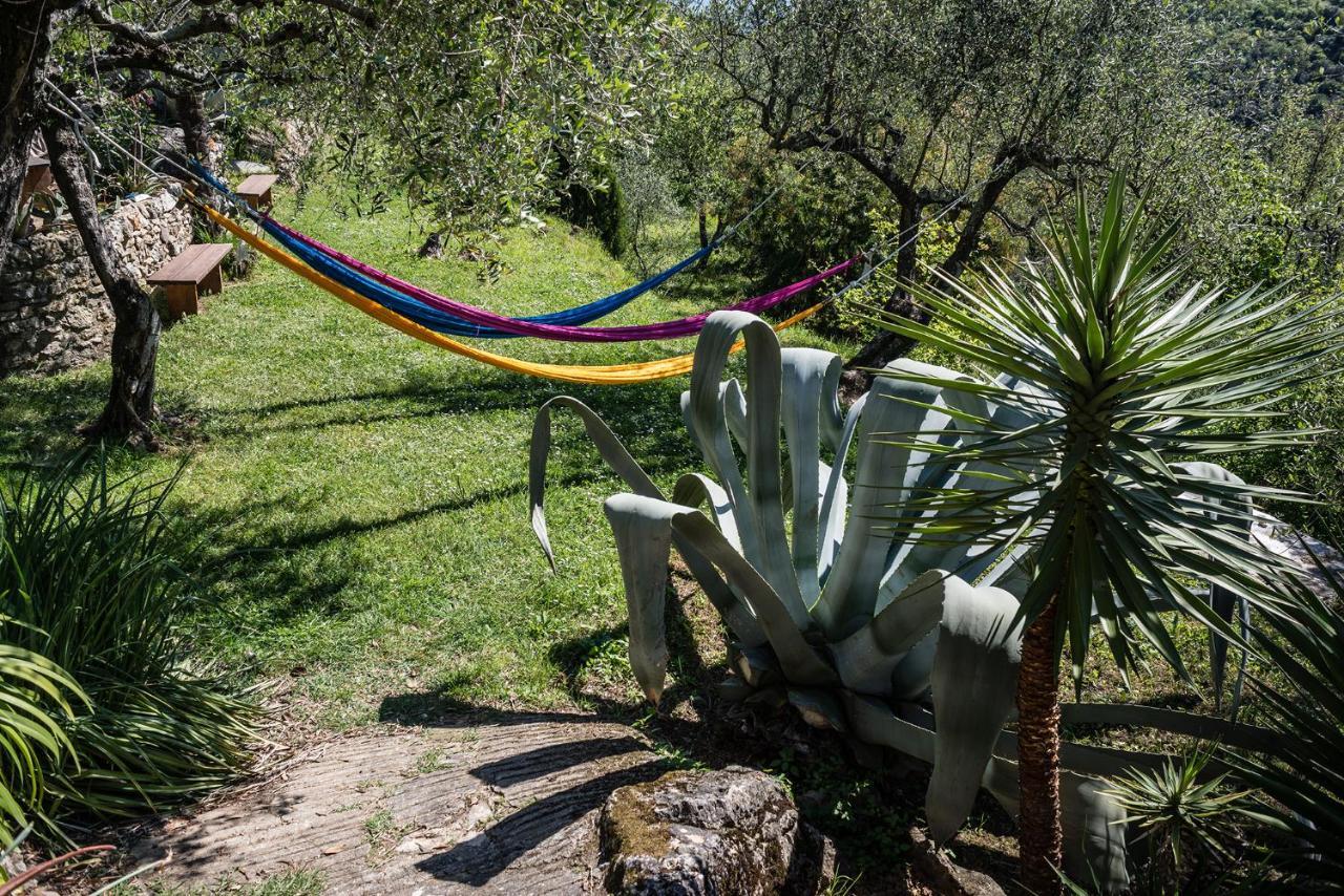 La Fattoria Di Nonna Eugenia Bed & Breakfast Lerici Luaran gambar