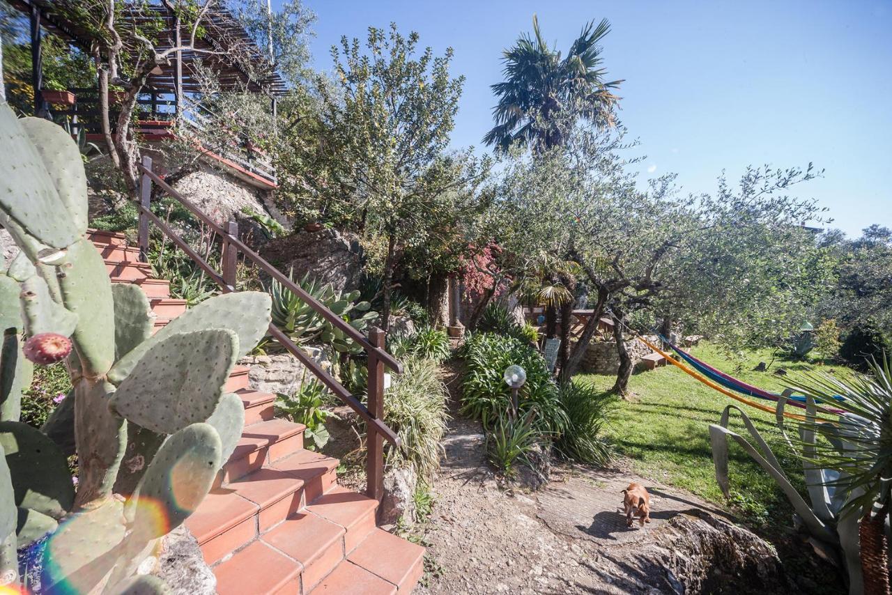 La Fattoria Di Nonna Eugenia Bed & Breakfast Lerici Luaran gambar